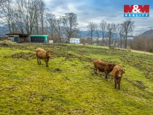 Prodej pozemku pro bydlení, Chřibská - Horní Chřibská, 20128 m2