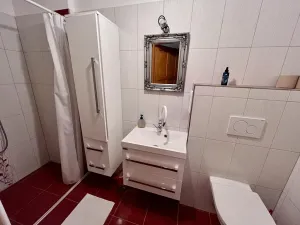 Prodej rodinného domu, Orlické Podhůří, 267 m2