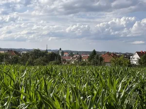 Prodej pozemku pro bydlení, Velká Bíteš, Masarykovo náměstí, 4468 m2