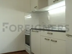 Pronájem bytu 2+kk, Brno, Běloruská, 50 m2