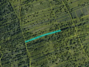 Prodej louky, Kněždub, 6886 m2