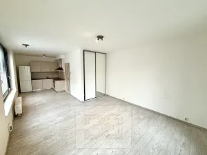 Pronájem bytu 1+kk, Praha - Karlín, Sokolovská, 40 m2