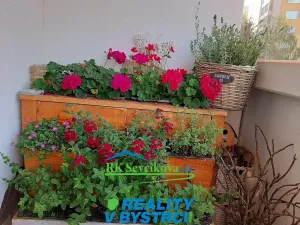 Pronájem bytu 1+1, Brno, Filipova, 33 m2