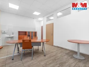 Pronájem obchodního prostoru, Ústí nad Labem - Severní Terasa, Šrámkova, 44 m2