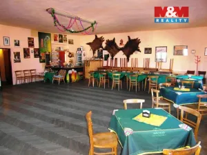 Prodej rodinného domu, Česká Čermná, 450 m2