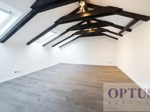 Pronájem bytu 6+kk a větší, Praha - Staré Město, Dušní, 218 m2