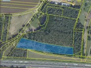 Dražba lesa, Kostelní Lhota, 9438 m2