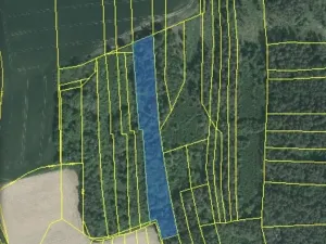 Dražba lesa, Blížejov, 6627 m2