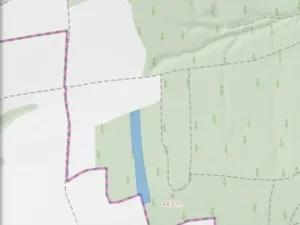 Dražba lesa, Blížejov, 6627 m2