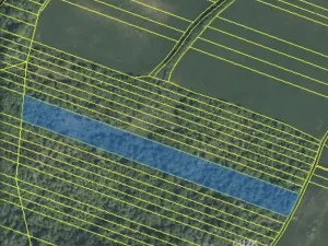 Dražba lesa, Šarovy, 11619 m2