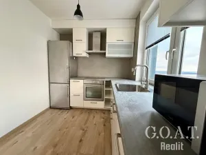 Pronájem bytu 1+kk, Plzeň, Vysoká, 38 m2