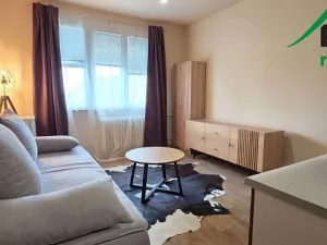 Pronájem bytu 1+kk, Tachov, Bělojarská, 25 m2