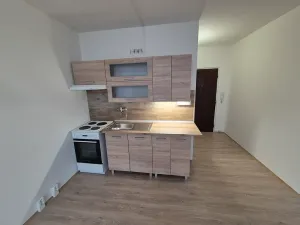 Prodej bytu 1+1, Chomutov, Zahradní, 35 m2