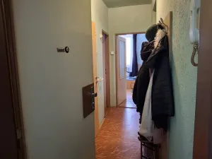 Prodej bytu 3+1, Cheb, Růžová, 73 m2