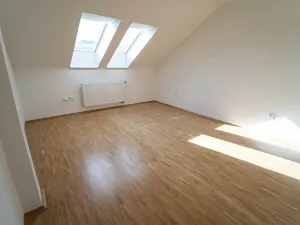 Prodej bytu 5+kk, Roztoky, Borkovského, 205 m2