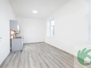 Pronájem bytu 1+kk, Kralupy nad Vltavou, S. K. Neumanna, 38 m2