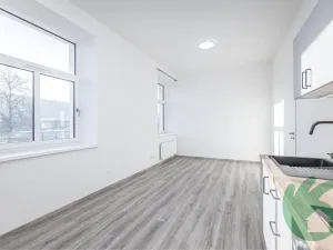 Pronájem bytu 1+kk, Kralupy nad Vltavou, S. K. Neumanna, 38 m2