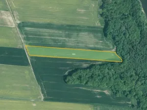 Prodej pole, Albrechtice nad Vltavou, 43820 m2