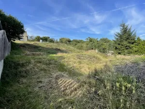 Prodej pozemku pro bydlení, Třemošná, Pod Strání, 724 m2