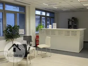 Pronájem kanceláře, Praha - Karlín, Sokolovská, 195 m2