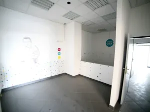 Pronájem obchodního prostoru, Praha - Troja, Lodžská, 218 m2