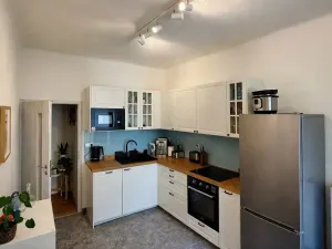 Pronájem bytu 2+1, Praha - Holešovice, U smaltovny, 70 m2