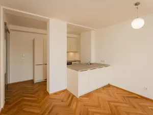 Pronájem bytu 3+kk, Praha - Žižkov, Seifertova, 85 m2