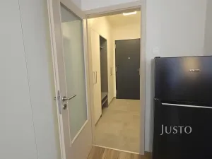 Pronájem bytu 1+kk, Písek, Pražská, 32 m2