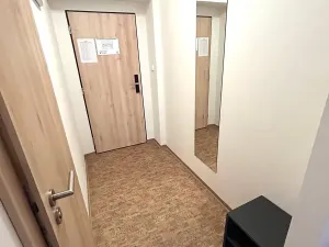 Pronájem bytu 1+kk, Praha - Smíchov, Křížová, 20 m2