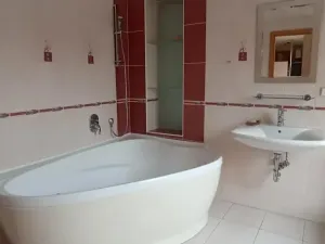 Pronájem bytu 4+kk, Teplice, Svatopluka Čecha, 210 m2