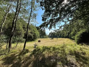 Dražba pozemku, Krompach, 21972 m2