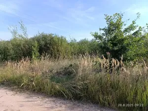 Prodej podílu pozemku, Hluboká nad Vltavou, 1640 m2