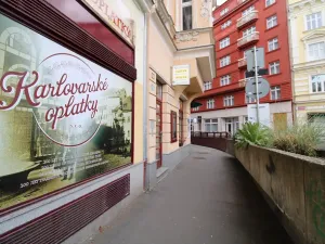 Prodej bytu 2+1, Karlovy Vary, I. P. Pavlova, 54 m2