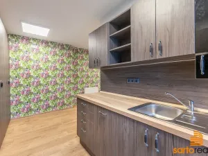 Prodej atypického bytu, Ústí nad Labem, Pasteurova, 77 m2