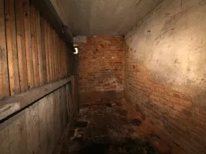 Dražba bytu 2+kk, Praha - Břevnov, U kaštanu, 50 m2