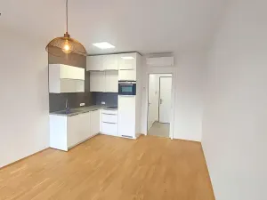 Prodej bytu 1+kk, Praha, Formanská, 33 m2