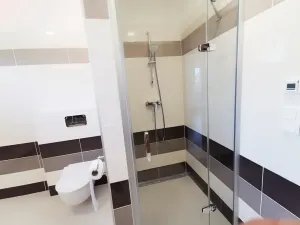 Pronájem bytu 2+kk, Olomouc, Roháče z Dubé, 57 m2