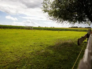 Prodej chaty, Litíč, 60 m2