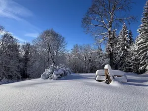 Prodej chaty, Kořenov - Polubný, 223 m2