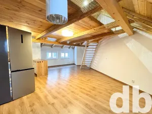 Pronájem bytu 2+kk, Nejdek, Nerudova, 65 m2