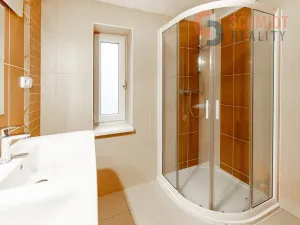 Pronájem rodinného domu, Břeclav, Kupkova, 232 m2