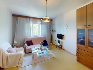 Prodej bytu 2+1, Mladá Boleslav, Laurinova, 65 m2