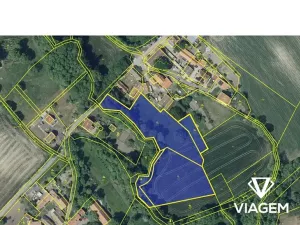 Prodej zahrady, Třebenice, 7981 m2