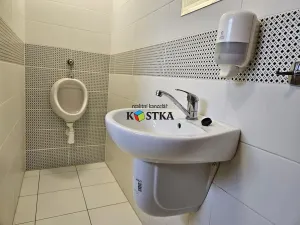 Pronájem kanceláře, Suchdol nad Odrou, Komenského, 20 m2