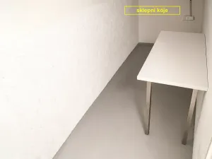 Pronájem bytu 1+kk, Brno, Botanická, 50 m2