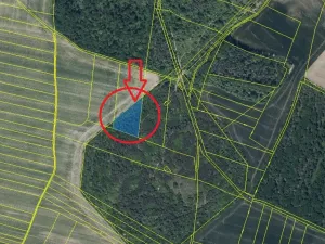 Prodej lesa, Budyně nad Ohří, 3677 m2