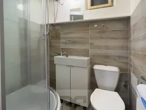 Pronájem bytu 2+1, Praha - Žižkov, Přemyslovská, 46 m2