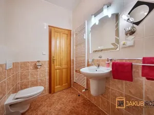 Prodej bytu 1+1, Černý Důl, 24 m2