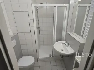 Pronájem bytu 1+1, Písek, 17. listopadu, 35 m2