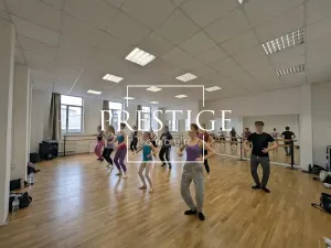 Pronájem obchodního prostoru, Praha - Holešovice, U průhonu, 81 m2